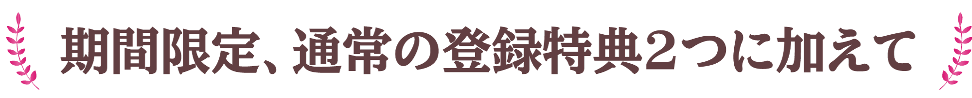 期間限定、通常の登録特典2つに加えて